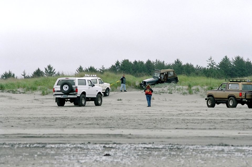 Several SUVs and a Jeep are parked and driving on a sandy beach with trees in the background