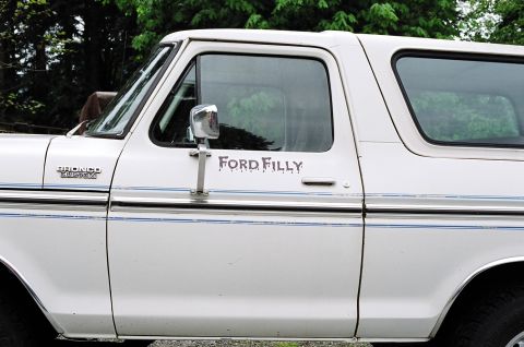 1979 Ford Bronco - Side view of a white Ford Bronco, showing custom decals and trim details.