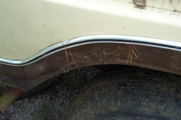 Tan 1978 Ford Bronco rear wheel well with rust and pine needles