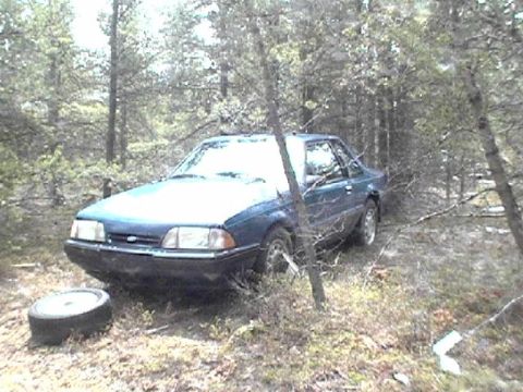 1995 Ford Bronco - A blue coupe sits abandoned in a wooded area, its front passenger tire deflated.