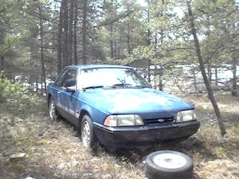 1995 Ford Bronco - A blue coupe sits in a wooded area with a spare tire resting on the ground in front of it.