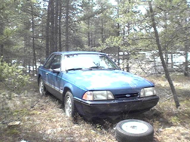 Blue coupe parked in woods, spare tire on ground nearby