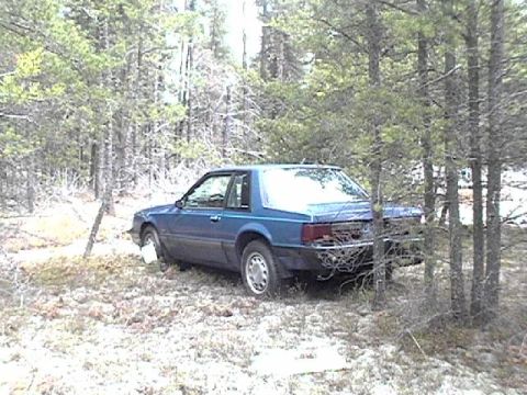1995 Ford Bronco - A blue 1987 Ford Mustang coupe sits abandoned in a forest clearing, its rear end partially obscured by trees.