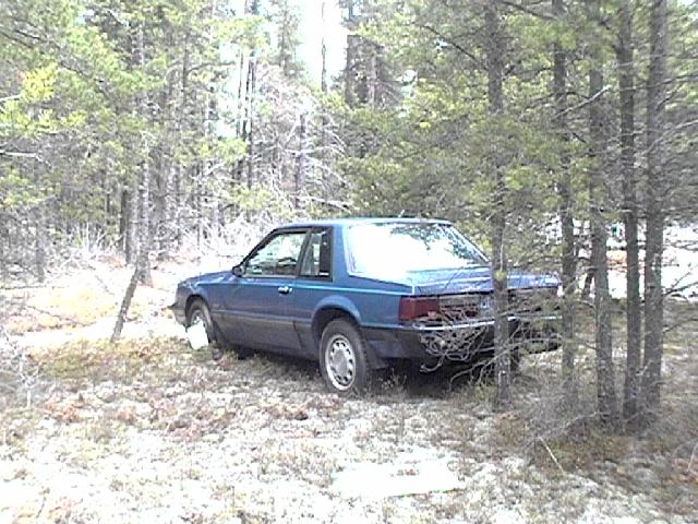 Blue 1987 Ford Mustang coupe parked in woods, rear view
