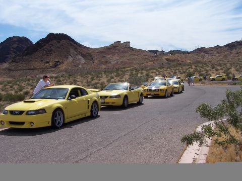 2002 Ford GT - A group of yellow Ford Mustangs, including a coupe and several convertibles, are lined up on a road with a mountainous desert landscape in…