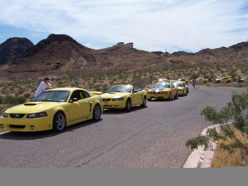Yellow 2002 Ford Mustang coupe and convertibles in a line on a road