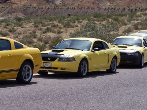 2002 Ford GT - A line of yellow Ford Mustangs, likely from the early 2000s, are parked on a road with a desert backdrop.