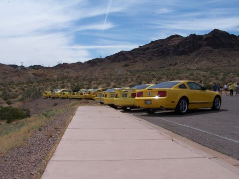 2002 Ford GT - A row of yellow Ford Mustangs are parked in a line with a mountainous backdrop under a cloudy sky.