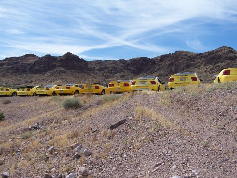 2002 Ford GT - A line of yellow Ford Mustangs are parked on a desert hillside with mountains in the background.