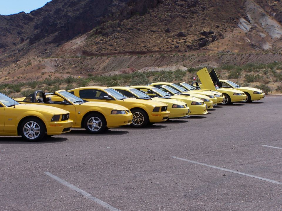 Row of yellow Ford Mustangs, one with scissor doors