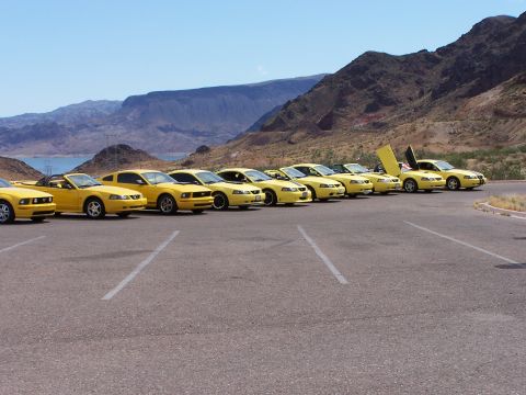 2002 Ford GT - A line of yellow Ford Mustangs are parked in a lot with a scenic mountain backdrop.