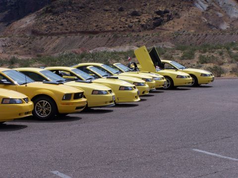 2002 Ford GT - A line of yellow Ford Mustangs are parked in a desert landscape, with one car showing its open doors.