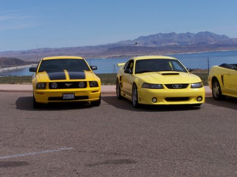 2002 Ford GT - Two yellow Ford Mustangs are parked in front of a lake with mountains in the background.
