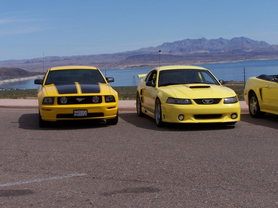 Two yellow Ford Mustangs parked by a lake, one with black stripes on the hood