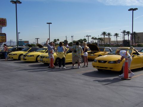 2002 Ford GT - A group of yellow Ford Mustangs are gathered outdoors on a sunny day, with several people interacting near the vehicles.