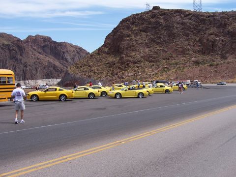 2002 Ford GT - A group of yellow Ford Mustangs are parked together in a scenic outdoor location.