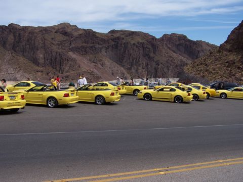 2002 Ford GT - A group of yellow Ford Mustangs are parked in a desert area with mountains behind them.