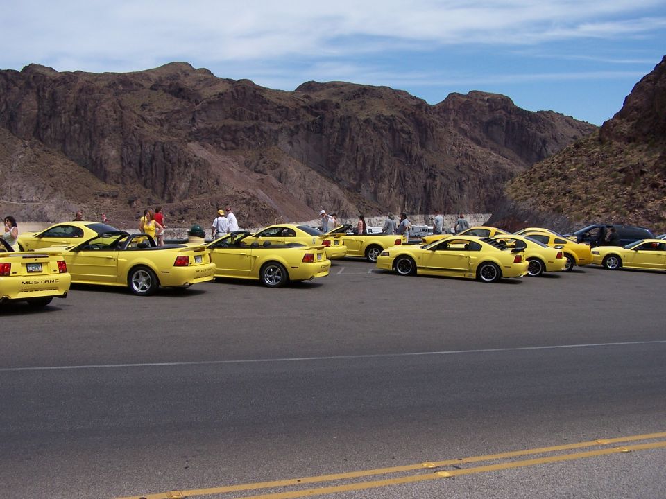 Several yellow Ford Mustangs parked in a row with mountains in the background. One car has 'MUSTANG' visible on the rear