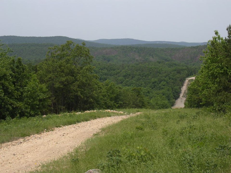 Dirt road curves through grassy terrain towards a steep incline in a wooded area