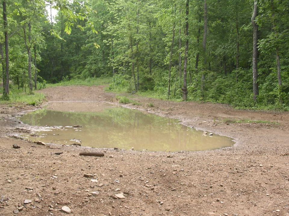 muddy trail with a large puddle in the middle, surrounded by trees