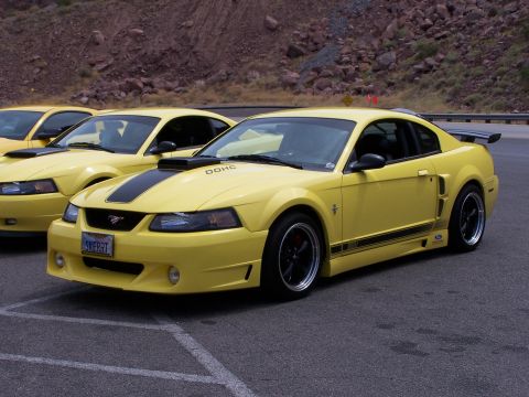 2002 Ford GT - A line of yellow Ford Mustangs are parked in a lot, with a rocky hillside in the background.