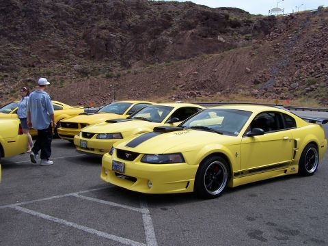 2002 Ford GT - Several yellow Ford Mustangs are lined up in a parking lot with a mountainous backdrop.