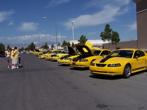 2002 Ford GT - A row of yellow Ford Mustangs are parked in a lot under a blue sky with some clouds.