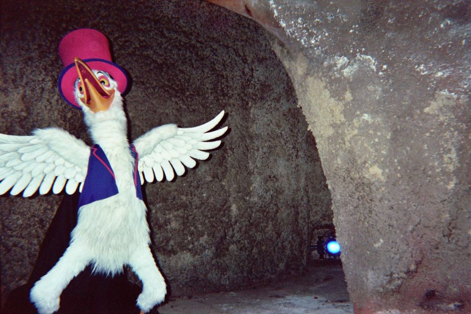 costumed bird character with a pink hat and blue vest, wings spread, in a cave-like setting