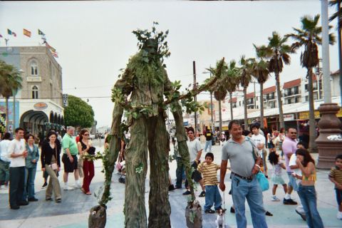1968 Ford Mustang - A person dressed as a tree walks along a busy boardwalk, surrounded by onlookers and palm trees.
