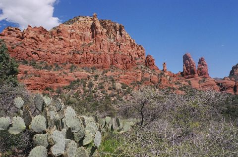 1994 Ford Bronco - A scenic desert landscape with towering red rock formations and abundant vegetation.