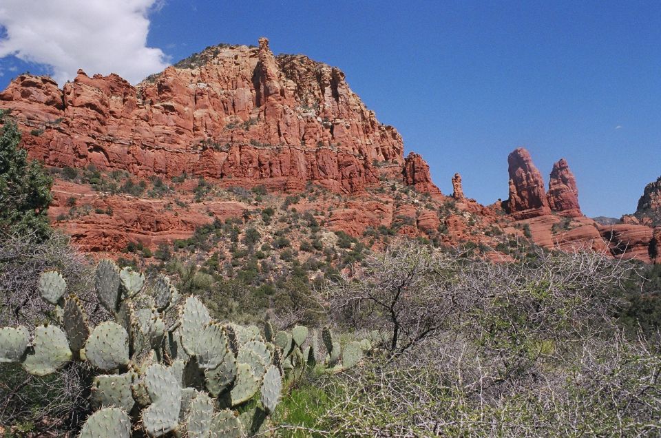 Red rock formations and prickly pear cactus under a blue sky with clouds