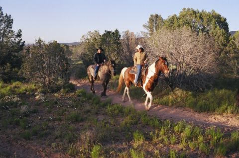 1994 Ford Bronco - Riders traverse a path surrounded by trees and sparse vegetation under a clear sky.