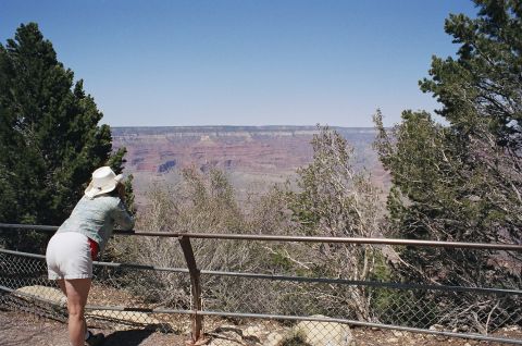 1994 Ford Bronco - A person observes the Grand Canyon from a viewpoint, with trees and a fence in the foreground.