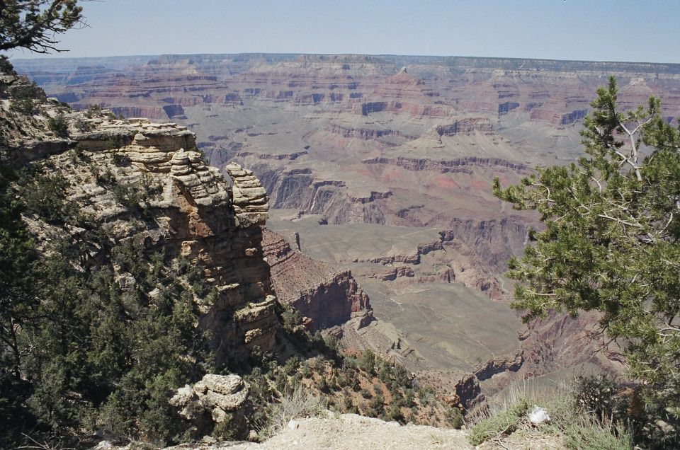 Canyon rim viewpoint framed by pines, with layered buttes and distant rim