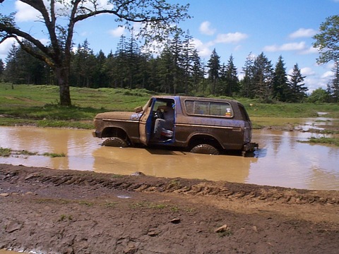 1978 Ford Bronco photo