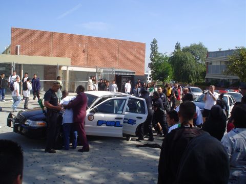 1993 Ford Taurus - Scene unfolds as police detain an individual next to a patrol vehicle amidst a crowd.