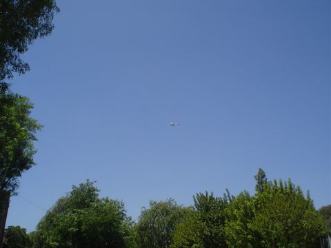 1993 Ford Taurus - A distant helicopter is visible against a bright blue sky, with green trees in the foreground.