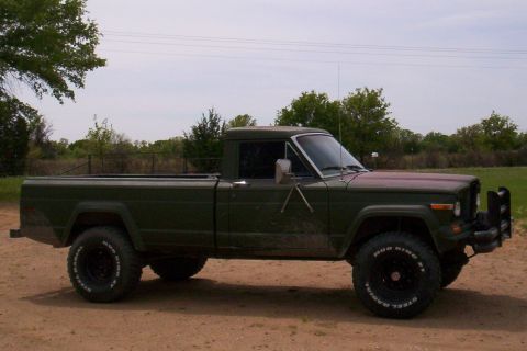 1981 Jeep Wagoneer photo