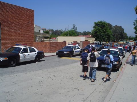 1993 Ford Taurus - Multiple police vehicles are parked on a street, with several students walking past them.