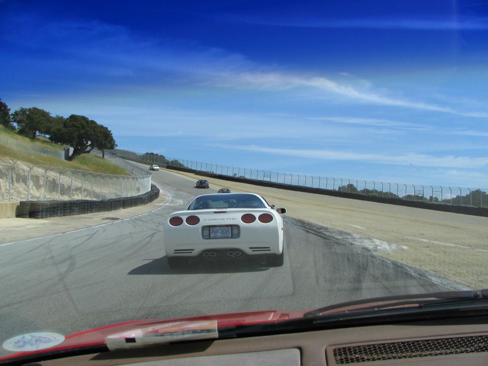 White Corvette on race track, other cars in distance. License plate visible