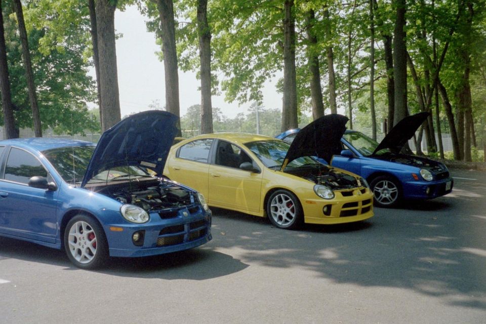 Three Dodge Neon SRT-4s lined up with hoods open. One is yellow, two are blue