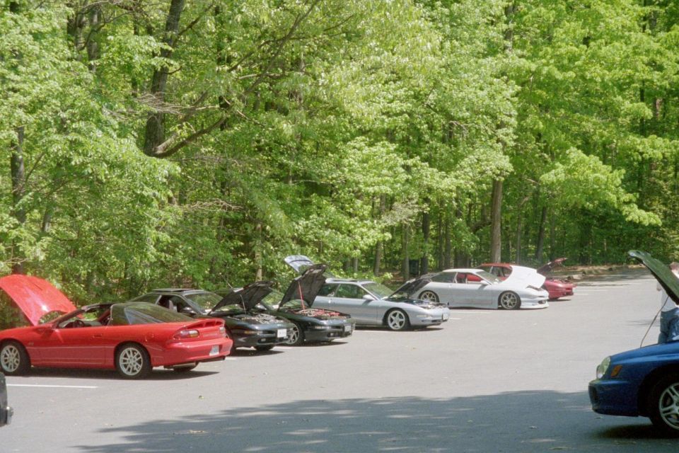 Several sports cars parked in a lot with hoods up, surrounded by trees