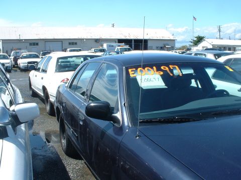 1999 Ford Crown Victoria - A dark blue sedan is parked in a lot with other vehicles. The windshield has handwritten numbers and letters.