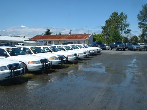 1999 Ford Crown Victoria - Small sample of retired King County Sheriff units at auction.