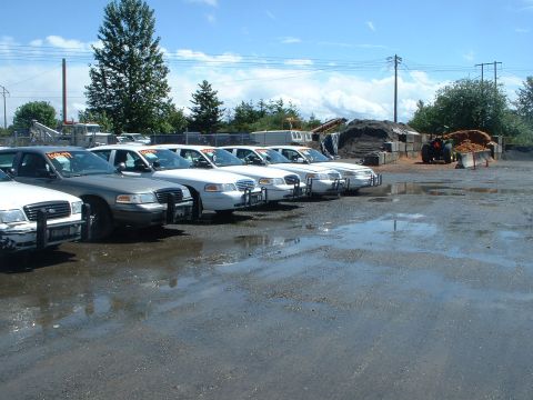 1999 Ford Crown Victoria - A row of Ford Crown Victoria police interceptors are parked in a lot, with a single gray sedan visible in the front.