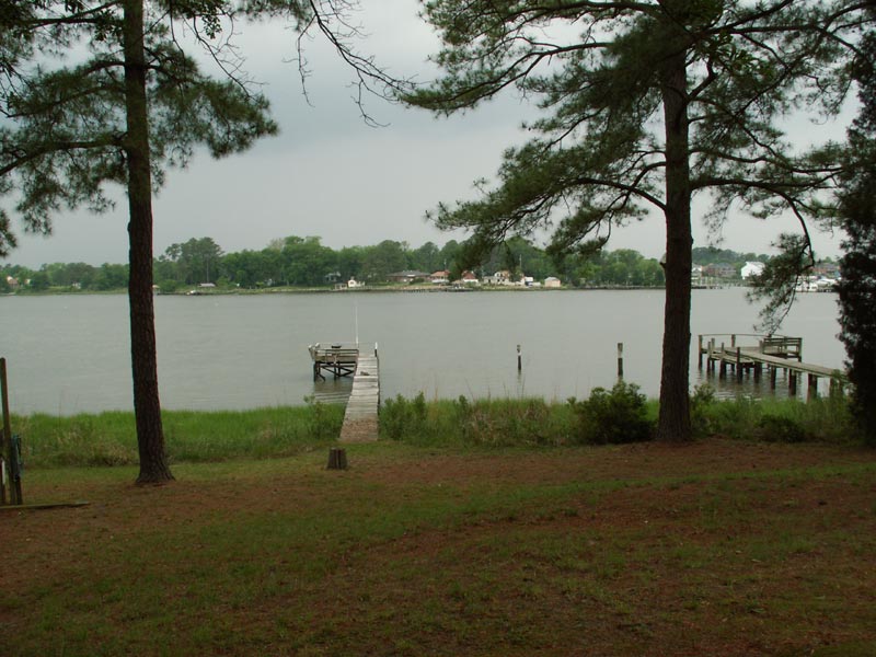 View from the backyard