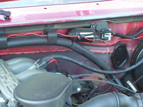 1995 Ford Bronco - Close-up of engine bay components, including hoses and wiring, with a Supermotors.net watermark.