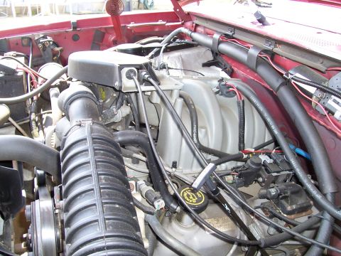 1995 Ford Bronco - Close-up view of a vehicle's engine bay, showing engine components and wiring.