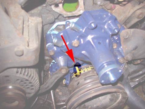 1988 Ford Bronco - Close-up of a blue-painted engine water pump with a red arrow and ruler pointing at the weep hole.