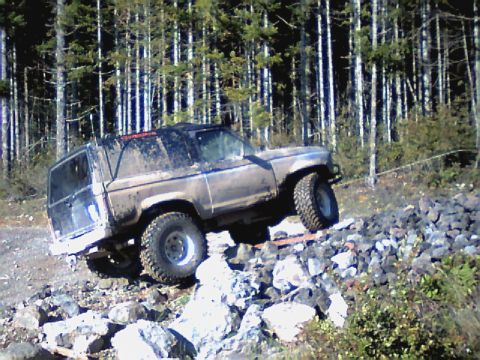 1987 Ford Bronco II - out in the woods